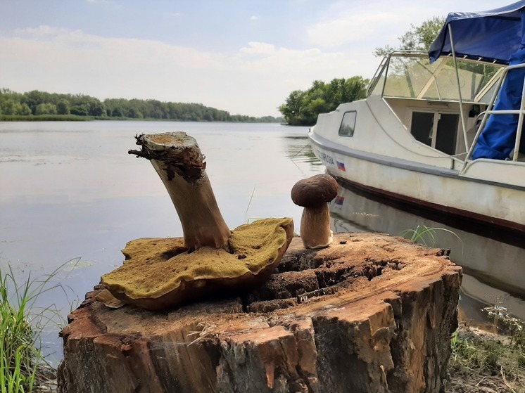 29 июня в трёх районах Саратовской области пройдут сильные дожди
