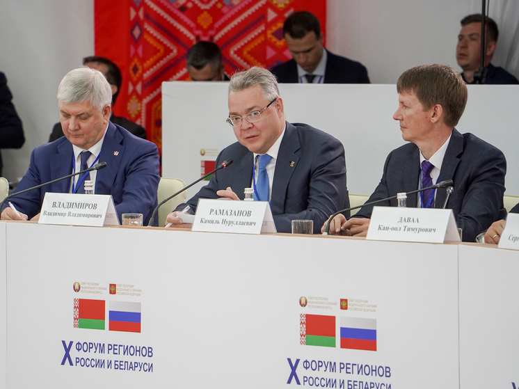 Владимир Владимиров отметил, что Беларусь является одним из опорных торгово-экономических партнеров Ставрополья и входит в тройку лидеров по этому показателю