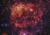 Разглядывая детализированное изображение туманности Sh2-284 в 15 тысячах световых лет от Земли, команда Очень большого телескопа (VLT) заметила, что она напоминает "улыбающуюся" морду кота