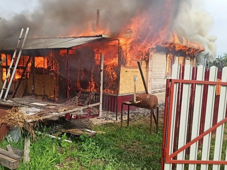 Пожар в Кольчугинском районе тушили 12 пожарных