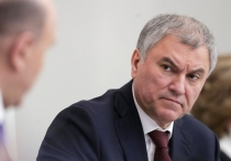 Председатель Госдумы Вячеслав Володин в ходе пленарного заседания выступил с предложением о введении уголовной ответственности за использование пальмового масла в молочных продуктах