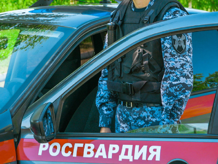 В Новгородской области за семь дней росгвардейцы выехали 323 раза по сигналу "тревога"