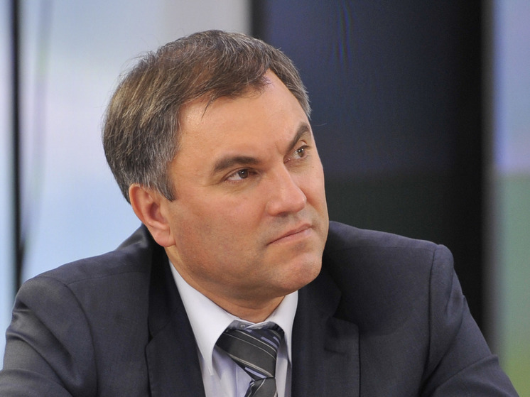 Володин предложил официально осудить разрешение Швеции на сожжение Корана