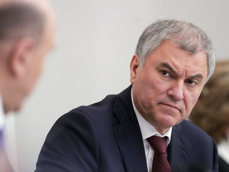 Володин предложил ввести уголовное наказание за использование пальмового масла в продуктах