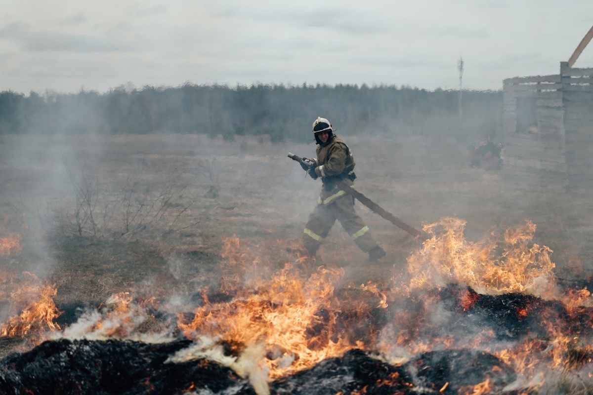 На территории Тверской области ликвидировали 11 лесных пожаров