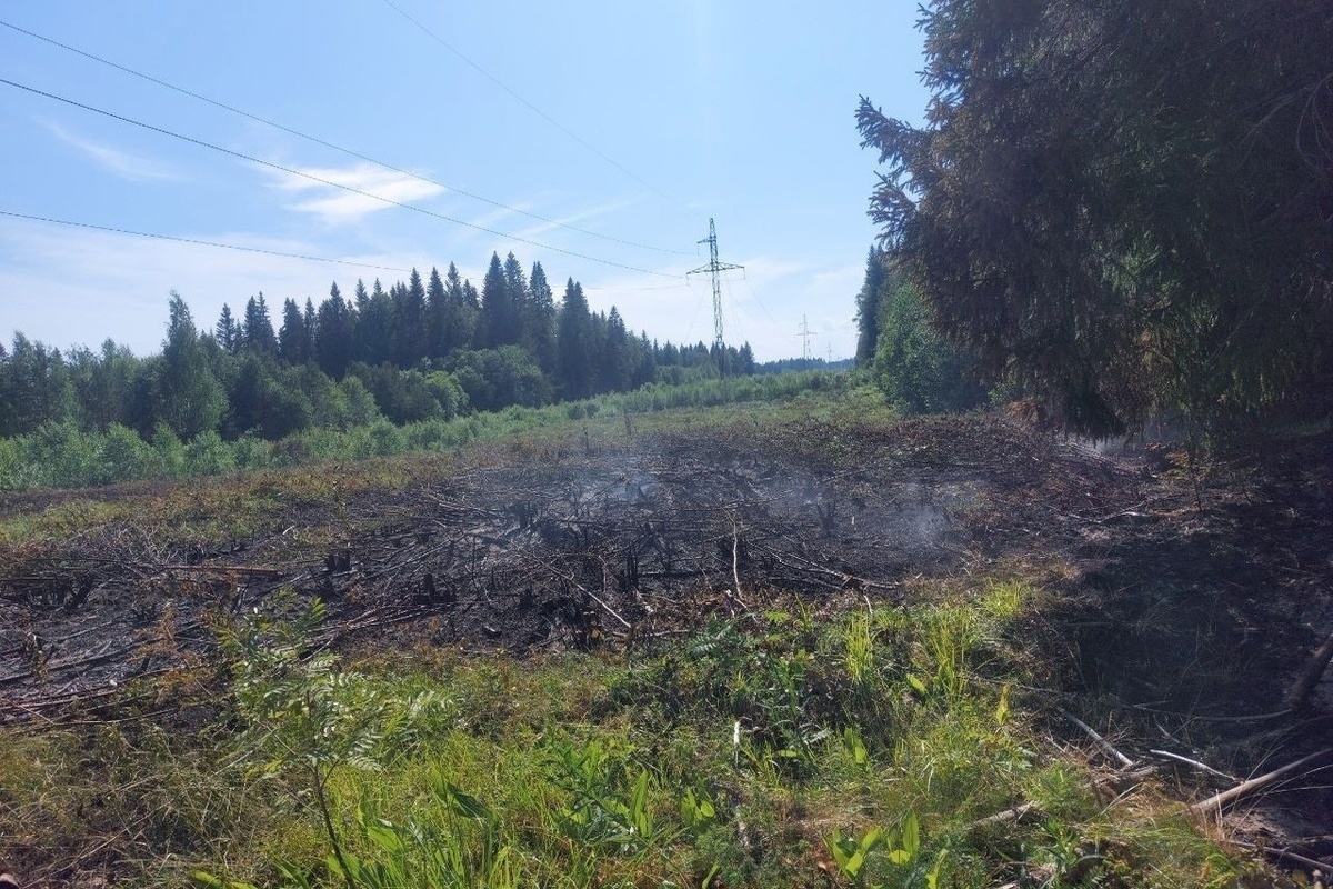 Огнеборцы тушат леса в Питкярантском районе Карелии