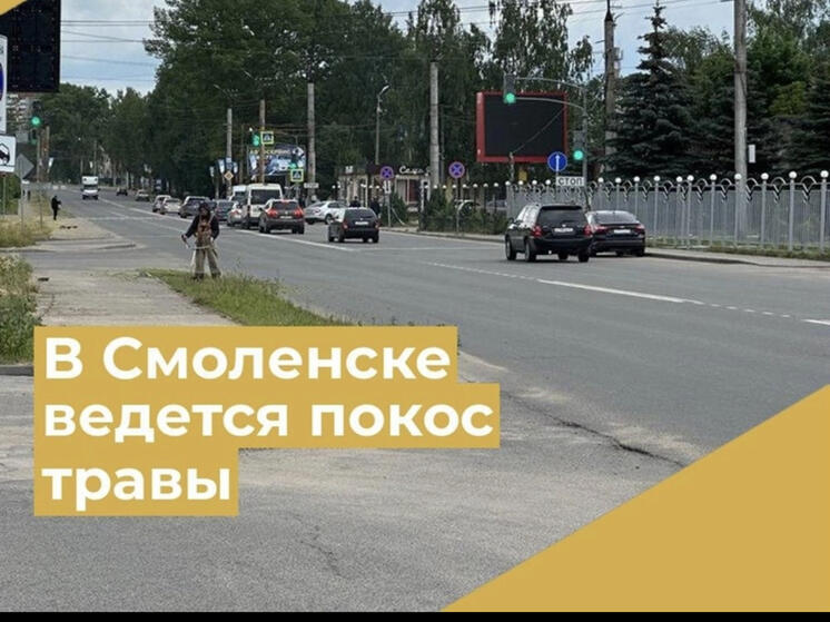 Смоленскавтодор проводит сезонный покос травы в Смоленске