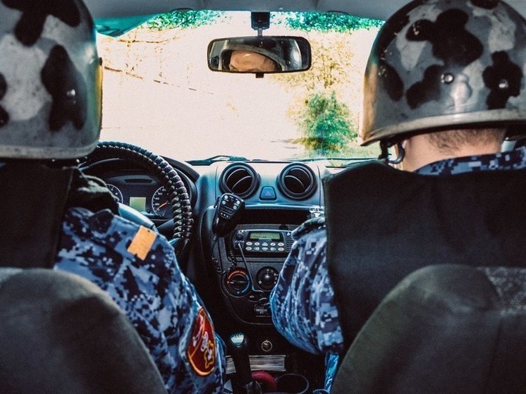 В Пензе хулиганы повредили два автомобиля