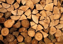 Ветераны боевых действий смогут бесплатно получить до 150 кубометров древесины на строительство дома в Ленобласти. Инициативу одобрили депутаты регионального ЗакСа.