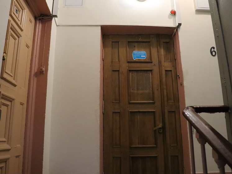 Строительный эксперт Васильев заявил, что избежать взлома входной двери помогут бронепластины