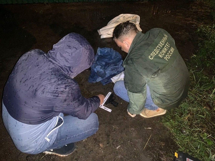 В Орехово-Зуевском округе один полицейский погиб, еще один ранен при задержании злоумышленников