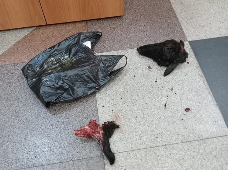 В Красноярске мигрант с головой барана пытался осквернить православный храм