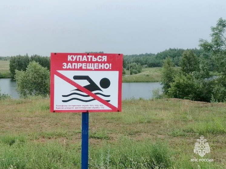 В пруду в деревне Чувашии утонул 20-летний парень