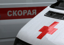 Девятилетний мальчик, которого сбила машина в Волосовском районе, скончался в реанимации спустя месяц после происшествия. Об этом сообщил telegram-канал «78 | Новости».