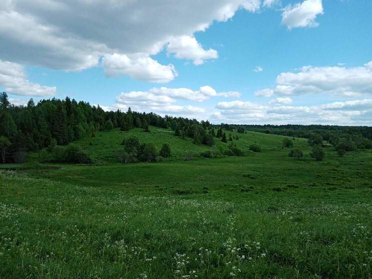 Житель Вологодской области купил участок, зная, что по нему пройдет теплотрасса