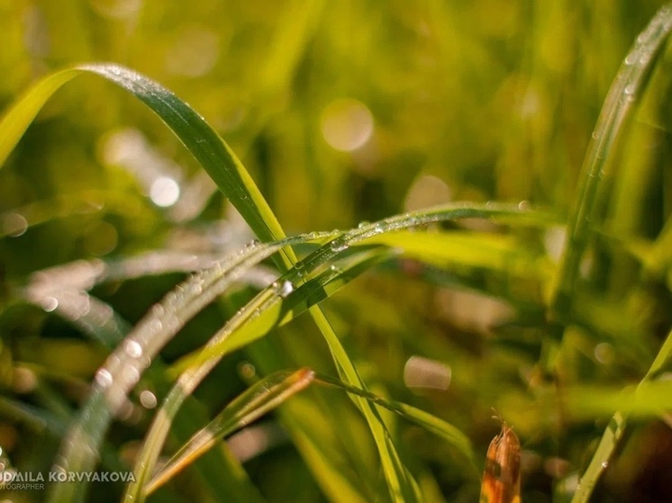 Стало известно, когда в Карелию придет прохлада