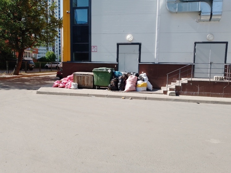 Шведский стол подготовлен для крыс в одном из дворов Петрозаводска