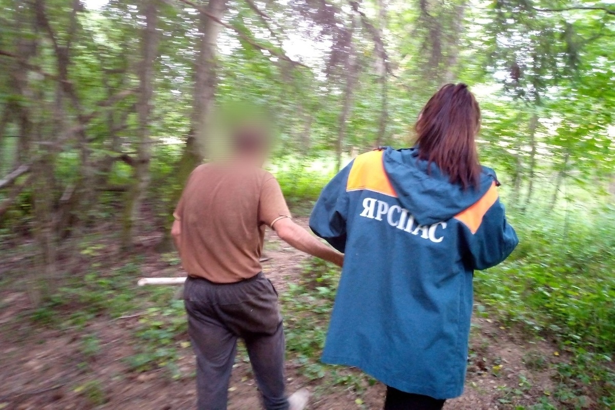 Ярославские волонтеры вывели из медвежьего леса заблудившегося инвалида