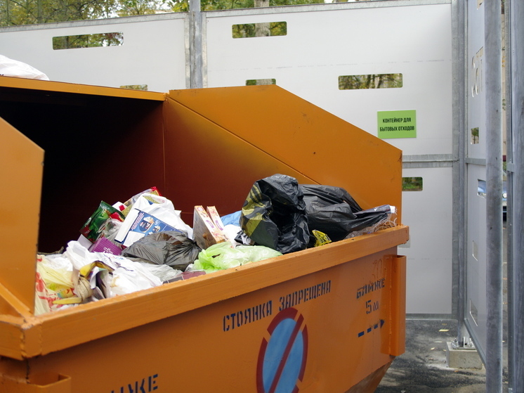 В Ленобласти отправляют на переработку только 6,9 % мусора: это вдвое меньше, чем в среднем по стране