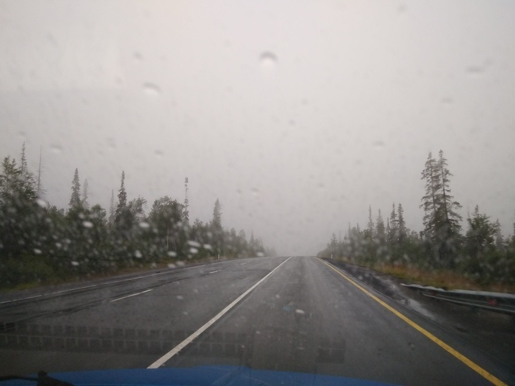 Какая погода ждет северян в последний день июня