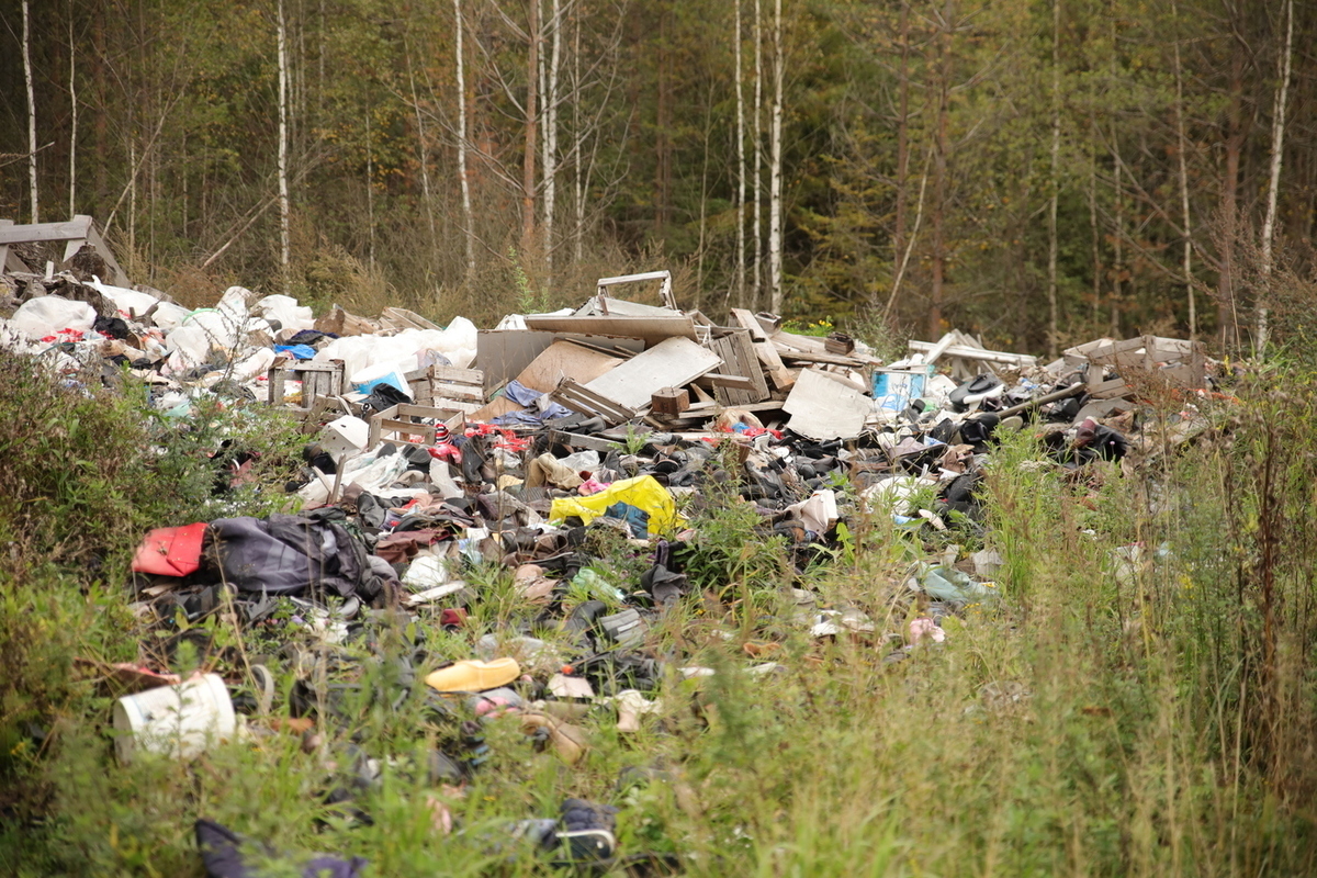 В Новгородской области начал работать мусоросортировочный комплекс
