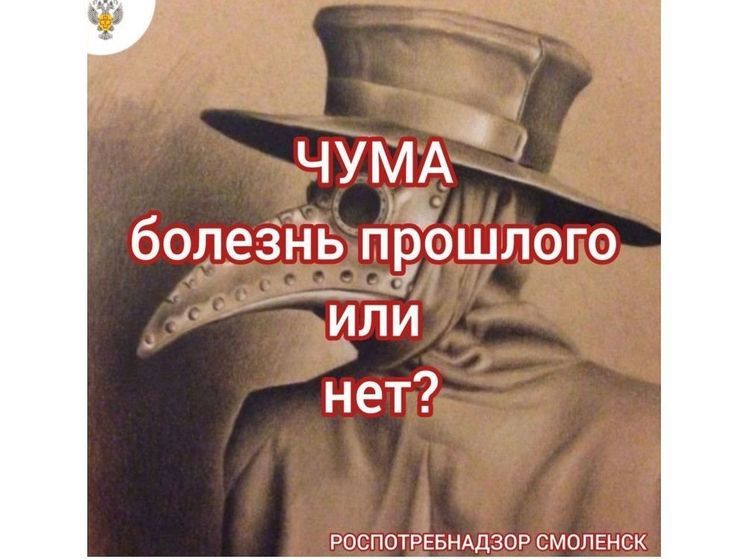 Смоленский Роспотребнадзор проинформировал о ситуации с чумой