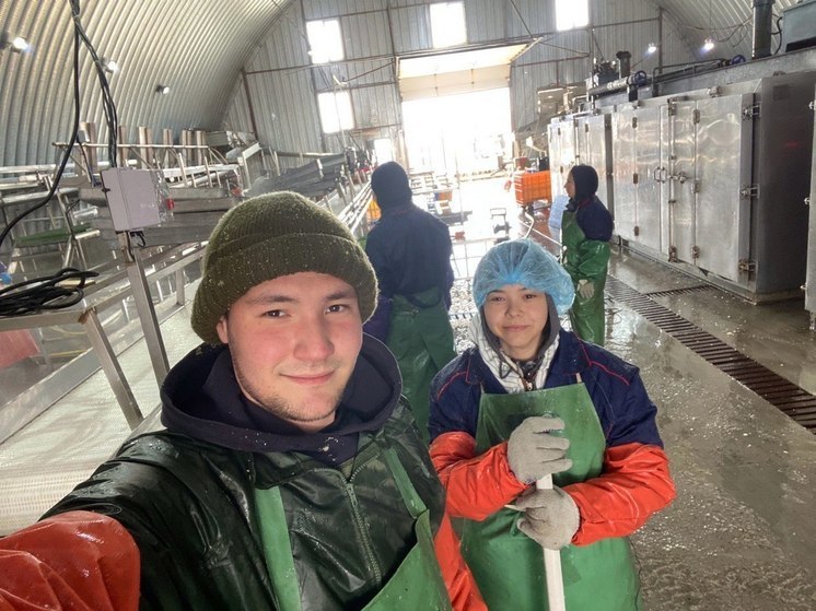 Студенты поехали на лососевую путину в Сахалинскую область и на Камчатку