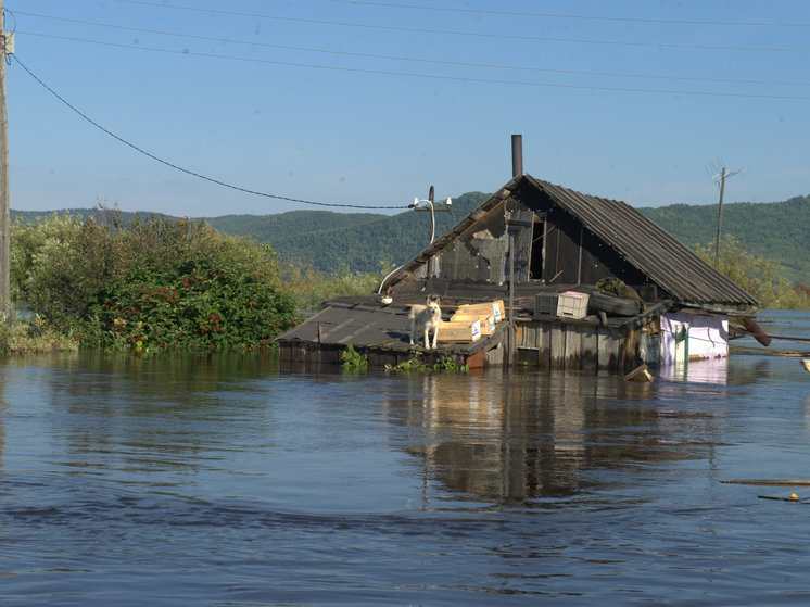 Наводнение 2013 года - первое крупное стихийное бедствие, с которым столкнулись жители Хабаровского края за последние несколько десятков лет.