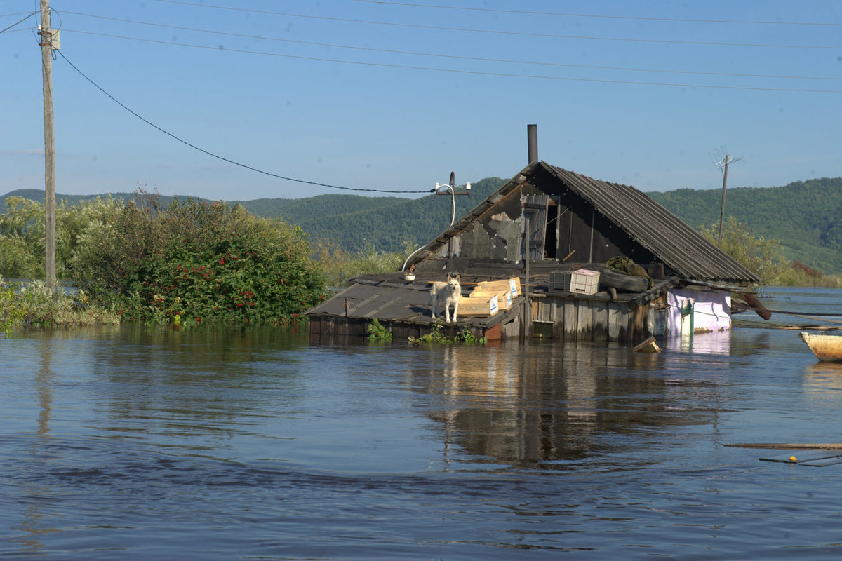 Хроники большой воды от первого лица: наводнение-2013 в Хабаровском крае  глазами журналиста - МК Хабаровск