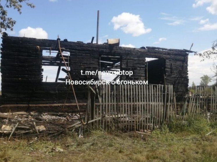 В Новосибирской области животные погибли во время пожара в питомнике