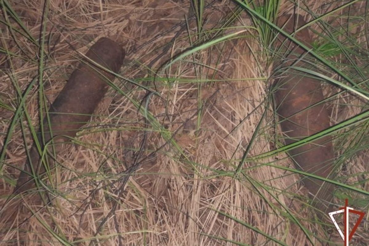Свердловские грибники нашли в лесу 46 артиллерийских снарядов
