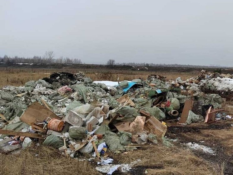 В Набережных Челнах обнаружили нелегальную свалку стройотходов
