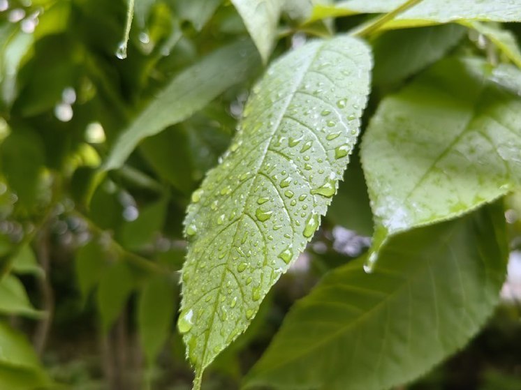 Биробиджан затопило из-за дождей