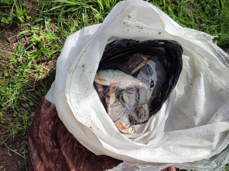 Жители Чувашии вовремя сообщили о браконьере, который ловил рыбу сетью