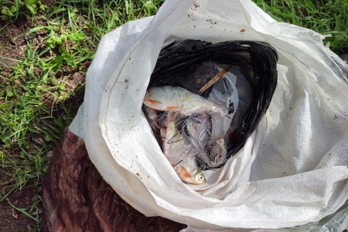 Жители Чувашии вовремя сообщили о браконьере, который ловил рыбу сетью