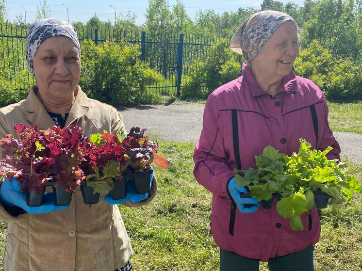 В Апатитах организовали мастер-класс по посадке северных растений
