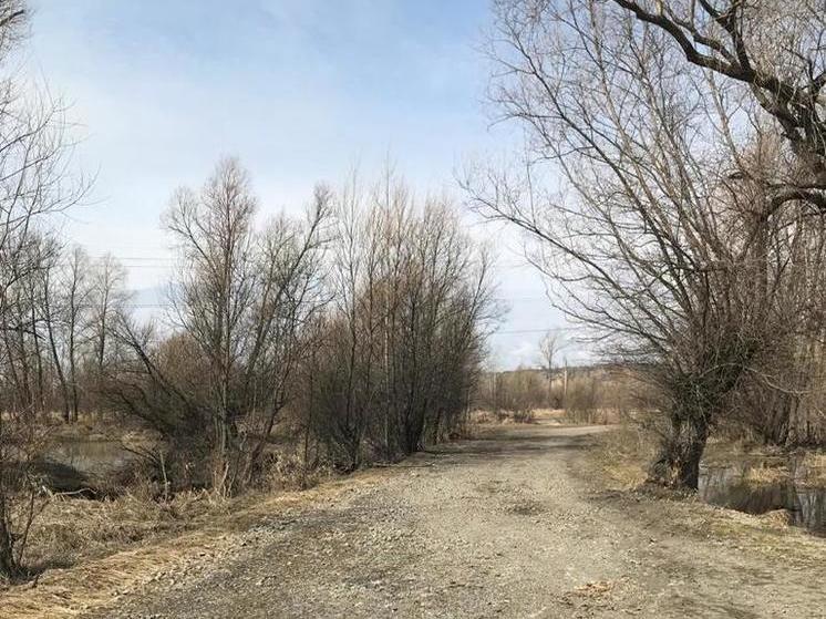 В Затоне открыли движение по дороге на остров Шубинский