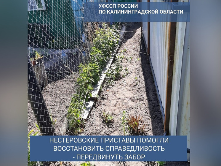 В Нестерове тень от забора привела к судебному разбирательству