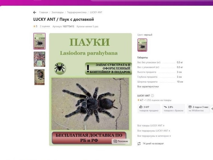 Пользователи Wildberries обнаружили, что на онлайн-маркетплейсе можно купить пауков и муравьев через сертификаты
