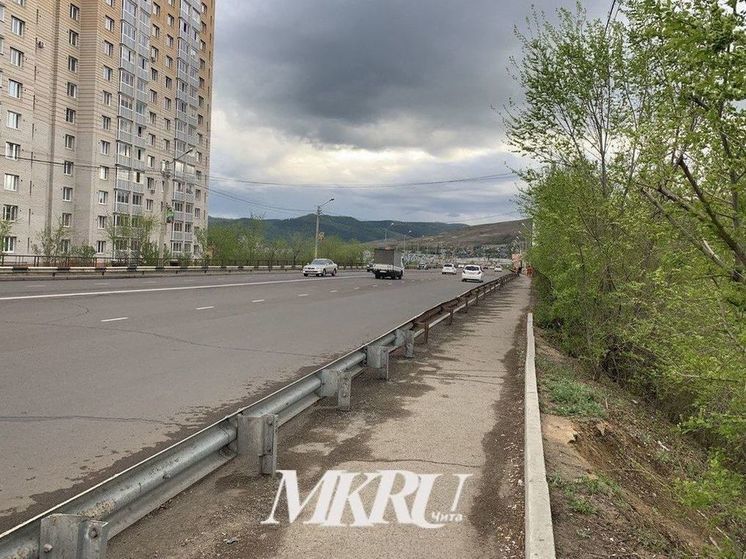 Выпускник предложил Осипову дать названия мостам в Чите