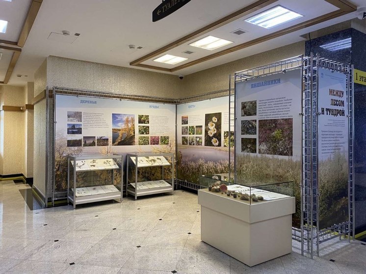 В Салехарде заработала посвященная природе Ямала выставка