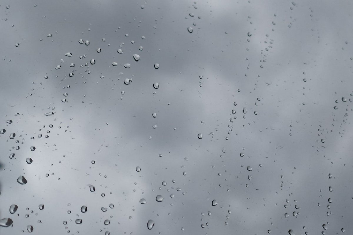 Дожди и грозы останутся в Вологодской области на все выходные