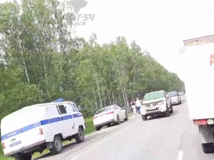 Под Новосибирском сразу несколько автомобилей съехали в кювет