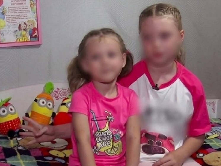 Совет по правам человека направит обращение детскому омбудсмену после сигнала SOS от девочки из Москвы