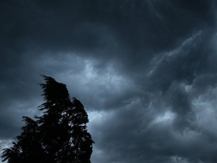 Грозовые ливни ожидаются на Ставрополье в первые дни июля