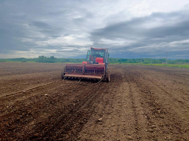 Строительство мелиоративной осушительной системы продолжается в Хабаровском крае
