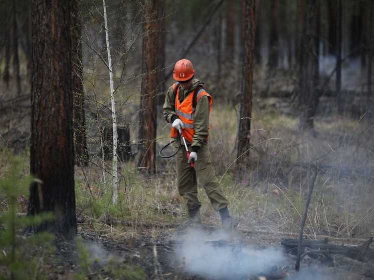 Два пожара потушили в лесах Приангарья за сутки