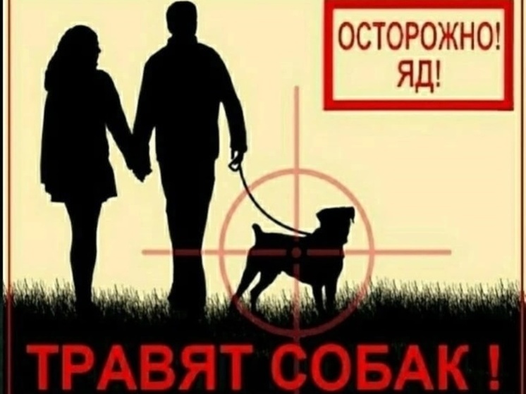 В Ноябрьске неизвестные отравили 4 собак: владельцев питомцев предупреждают об опасности