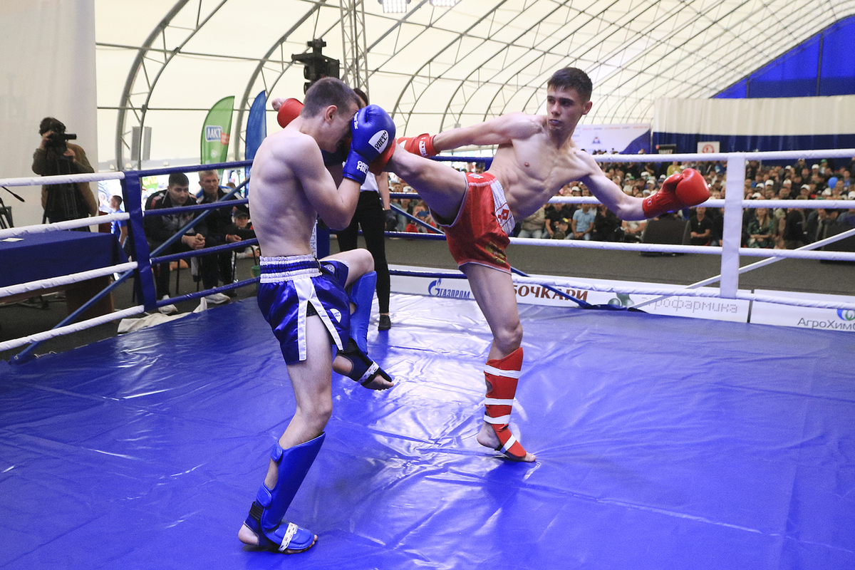 Full house kickboxers performed at the Day of the Siberian Field in the Altai Territory