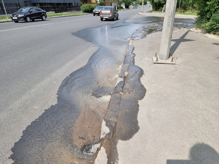 Ручьи хлещут прямо из тротуара возле остановки в Петрозаводске